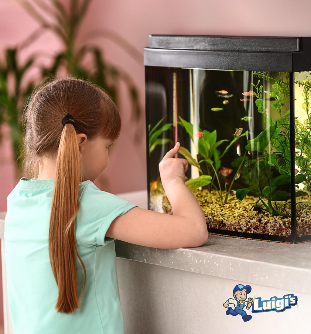 Aquarium Gravel Vacuum & Fish Tank Cleaner – Hand Siphon Hose for Water & Sand Changes, Turtle & Aquarium Cleaning Tool