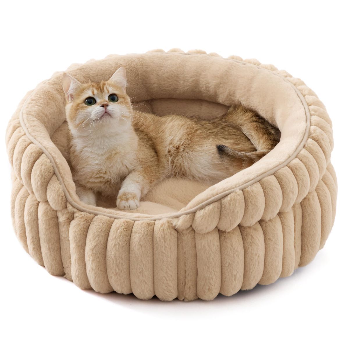 Cat Bed Plush Cat Bed Round Cat Bed Cat Furniture Cat Comfort Pet Supplies - Beige / 20in