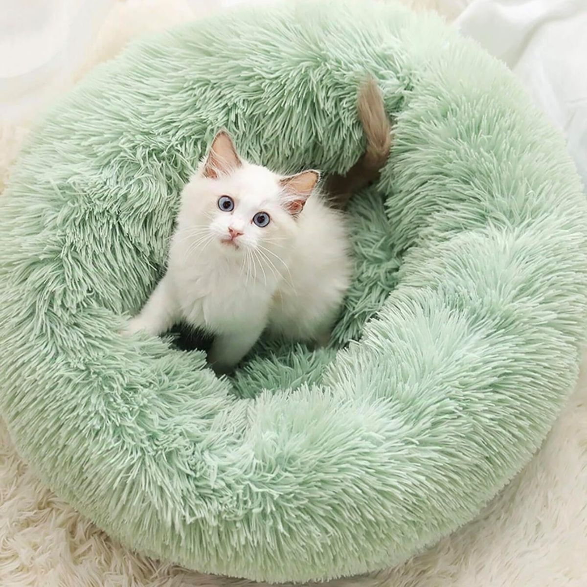 Cat Bed Fluffy Cat Bed Round Cat Bed Cat Furniture Cat Comfort Cat Sleeping Bed - Green / 24in