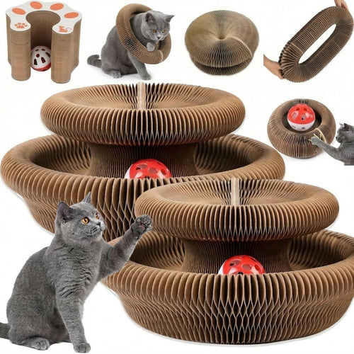 Pet Kingdom Shop