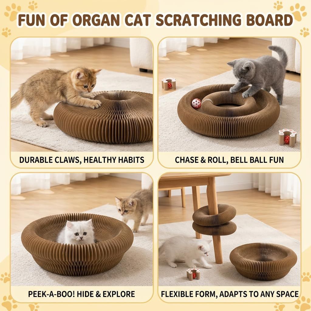 2-Pack Cat Toy Cat Scratching Board Collapsible Cat Toy Recyclable Cat Toy Interactive