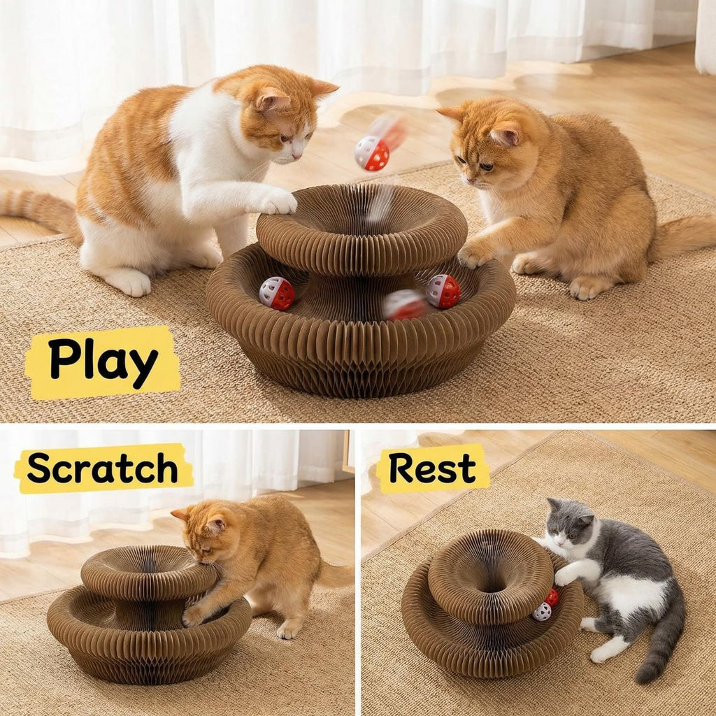 2-Pack Cat Toy Cat Scratching Board Collapsible Cat Toy Recyclable Cat Toy Interactive
