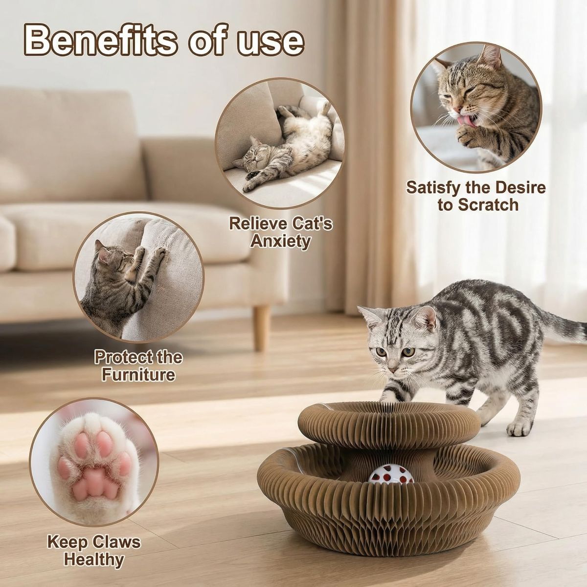 2-Pack Cat Toy Cat Scratching Board Collapsible Cat Toy Recyclable Cat Toy Interactive