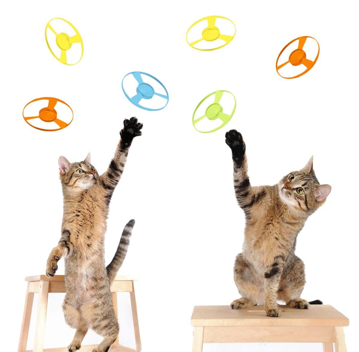 Cat Toy Cat Launcher Flying Disc Toy Cat Play Pet Toy Cat Entertainment