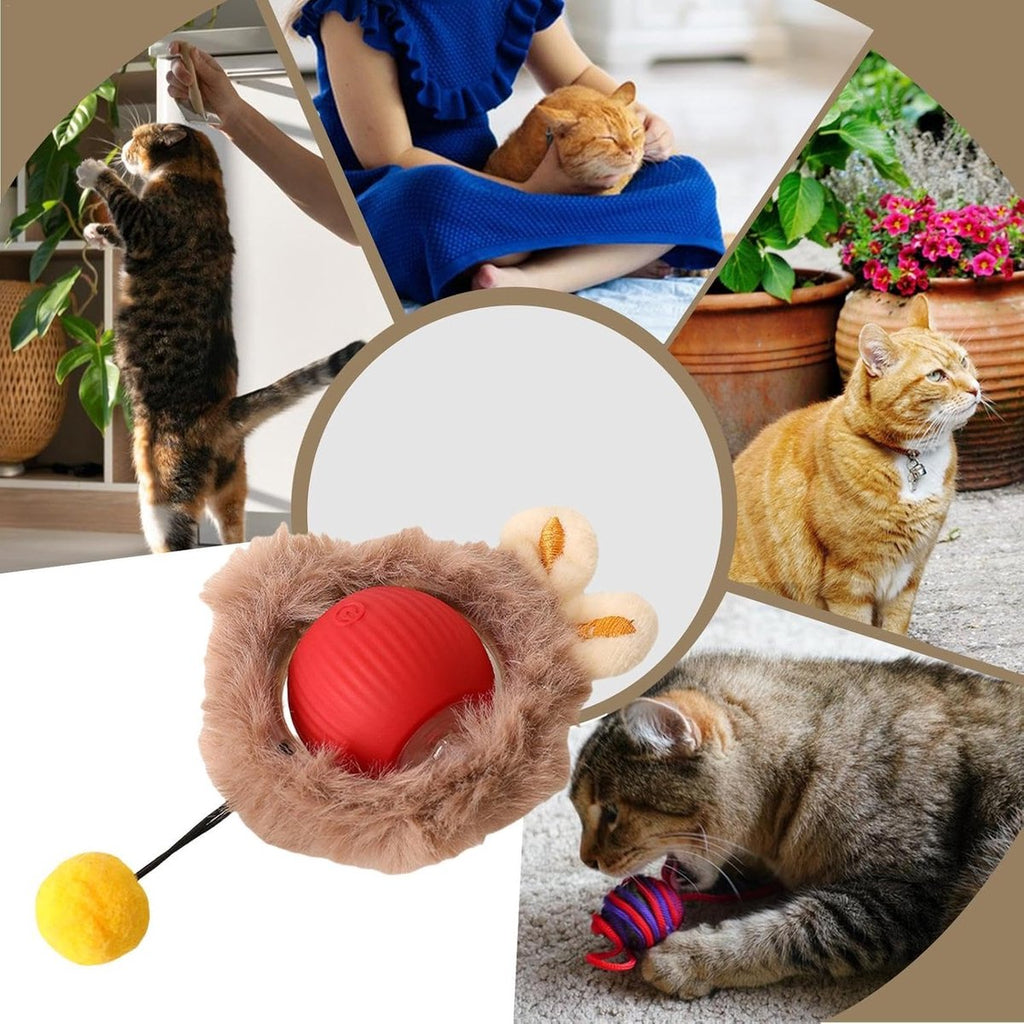 Electric Cat Ball Toy – Automatic Rolling Smart Interactive Cat Play Ball for Indoor Cats, Fast Rolling on Carpet