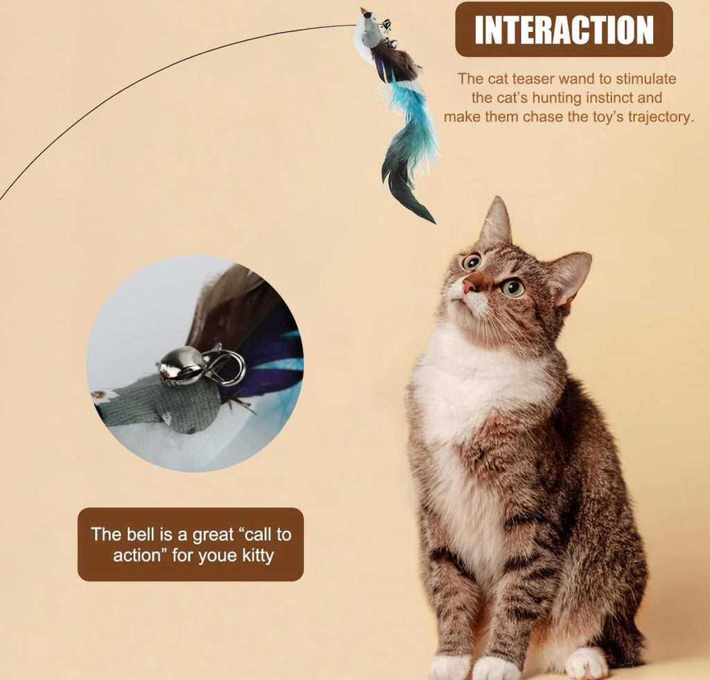 Interactive Cat Fishing Rod Toy with Suction Cup Base & 2 Extra Spring Heads – Self-Play Exercise Toy for Indoor Cats