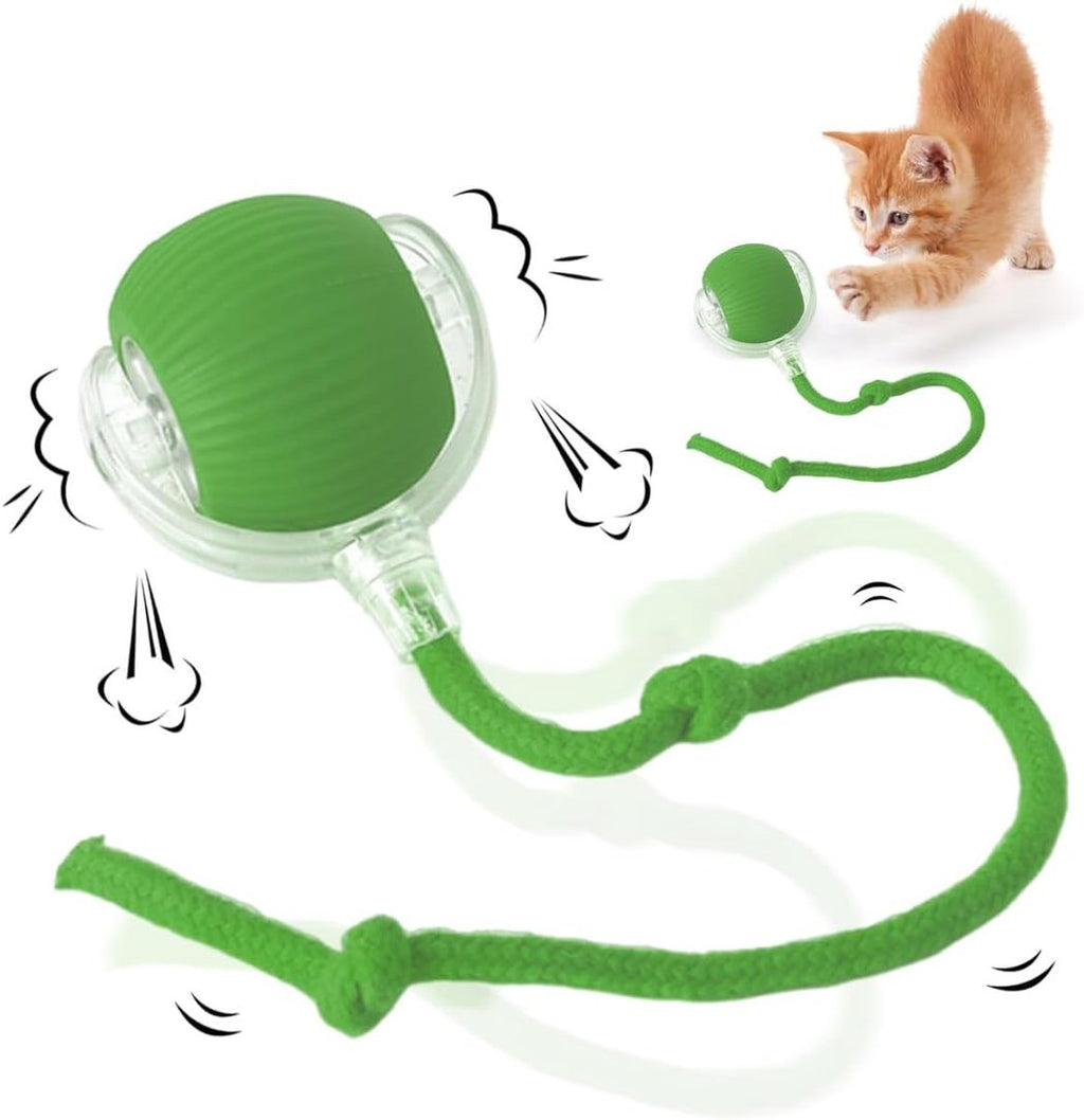 Electric Cat Ball Toy – Rechargeable Automatic Rolling Smart Ball, Interactive Cat Toy for Indoor Cats – Green
