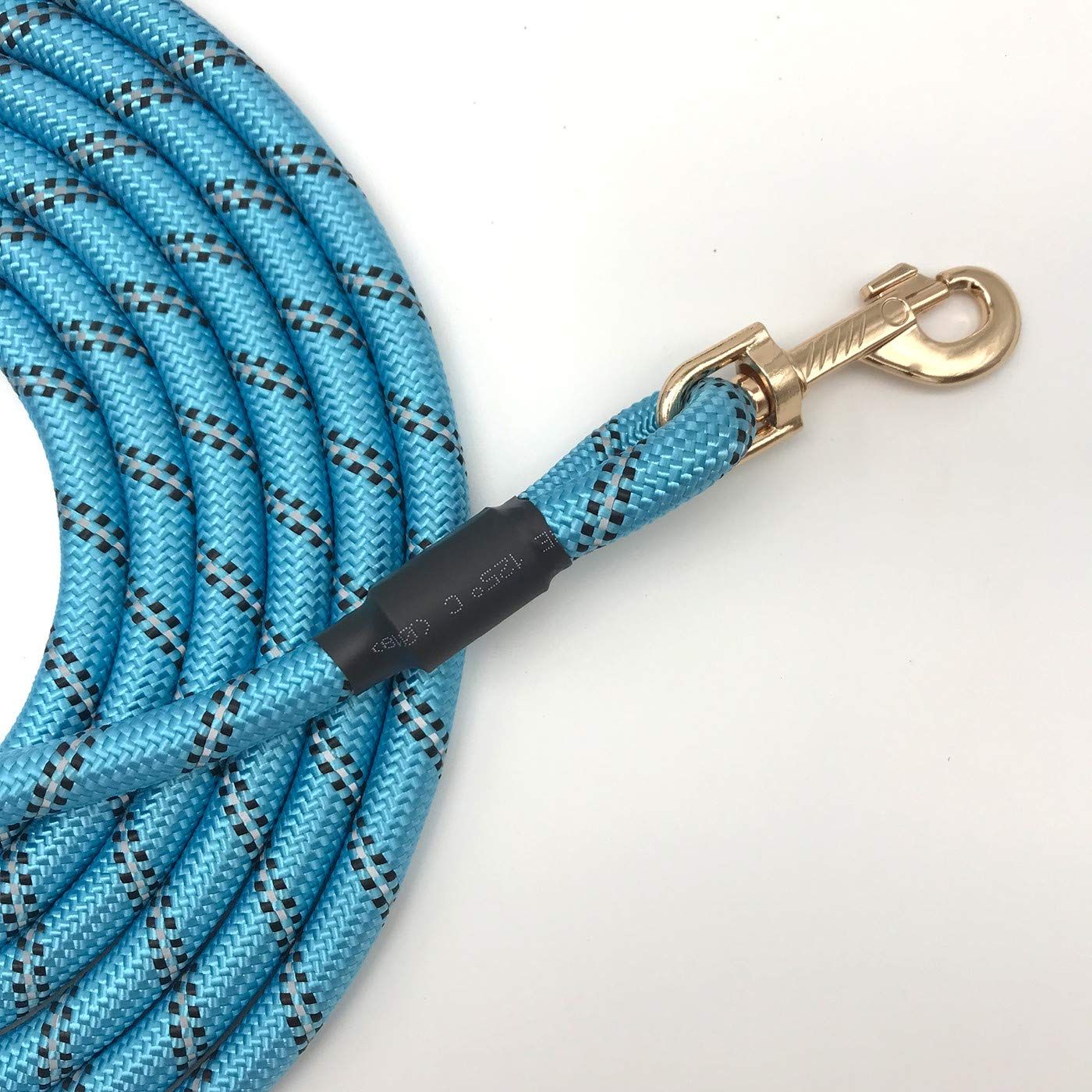 Nylon Strong Dog Rope Lead Reflective Training Dog Leash with Soft Handle 5-20 FT Long Aqua Blue (Dia:0.5" 5FT)