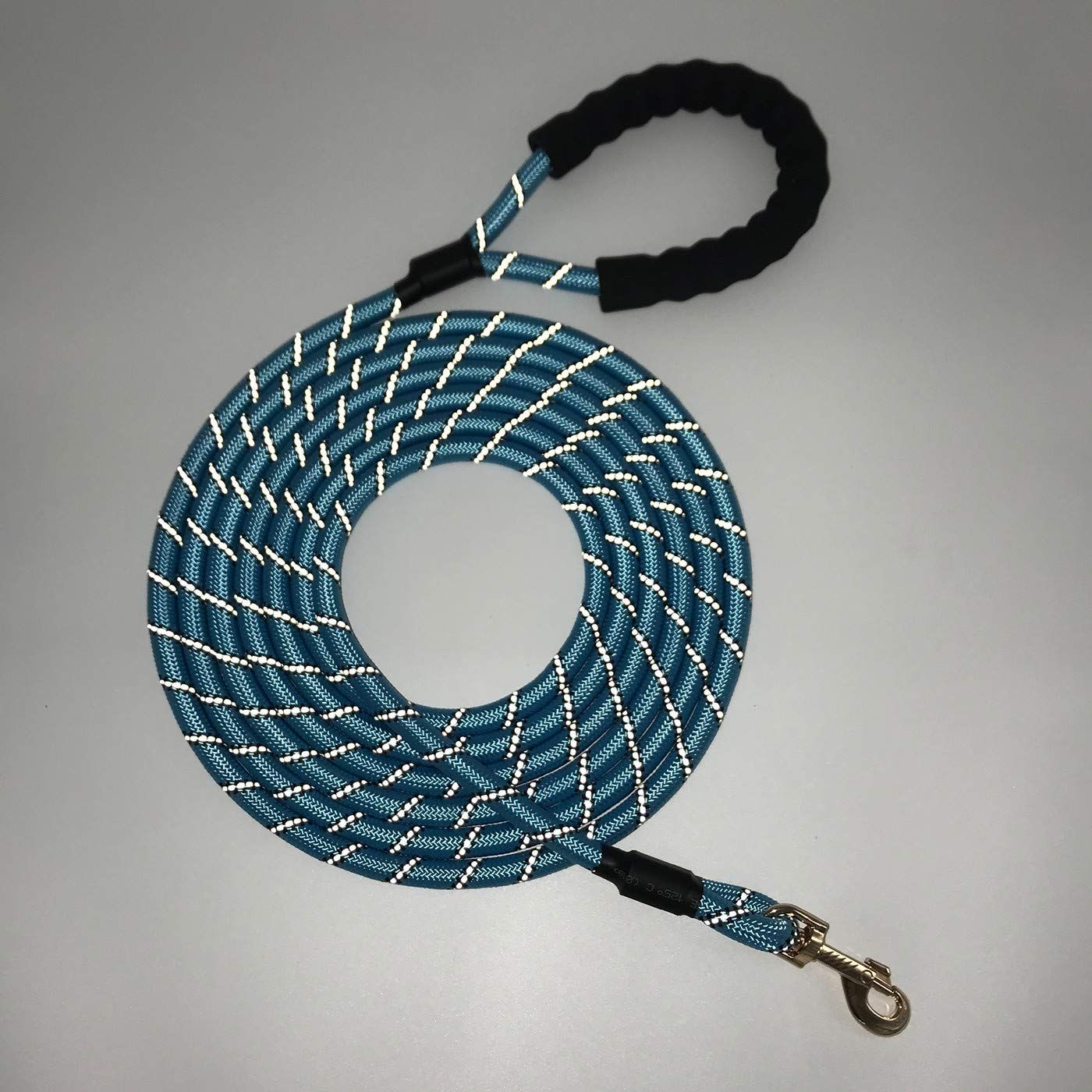 Nylon Strong Dog Rope Lead Reflective Training Dog Leash with Soft Handle 5-20 FT Long Aqua Blue (Dia:0.5" 5FT)