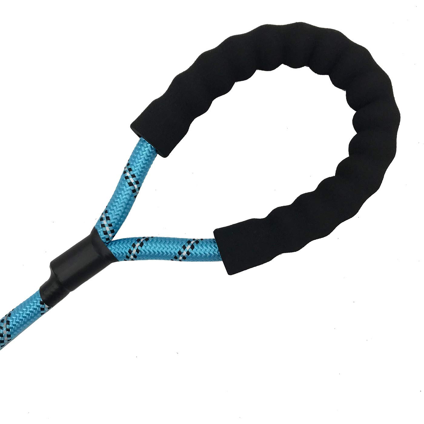 Nylon Strong Dog Rope Lead Reflective Training Dog Leash with Soft Handle 5-20 FT Long Aqua Blue (Dia:0.5" 5FT)