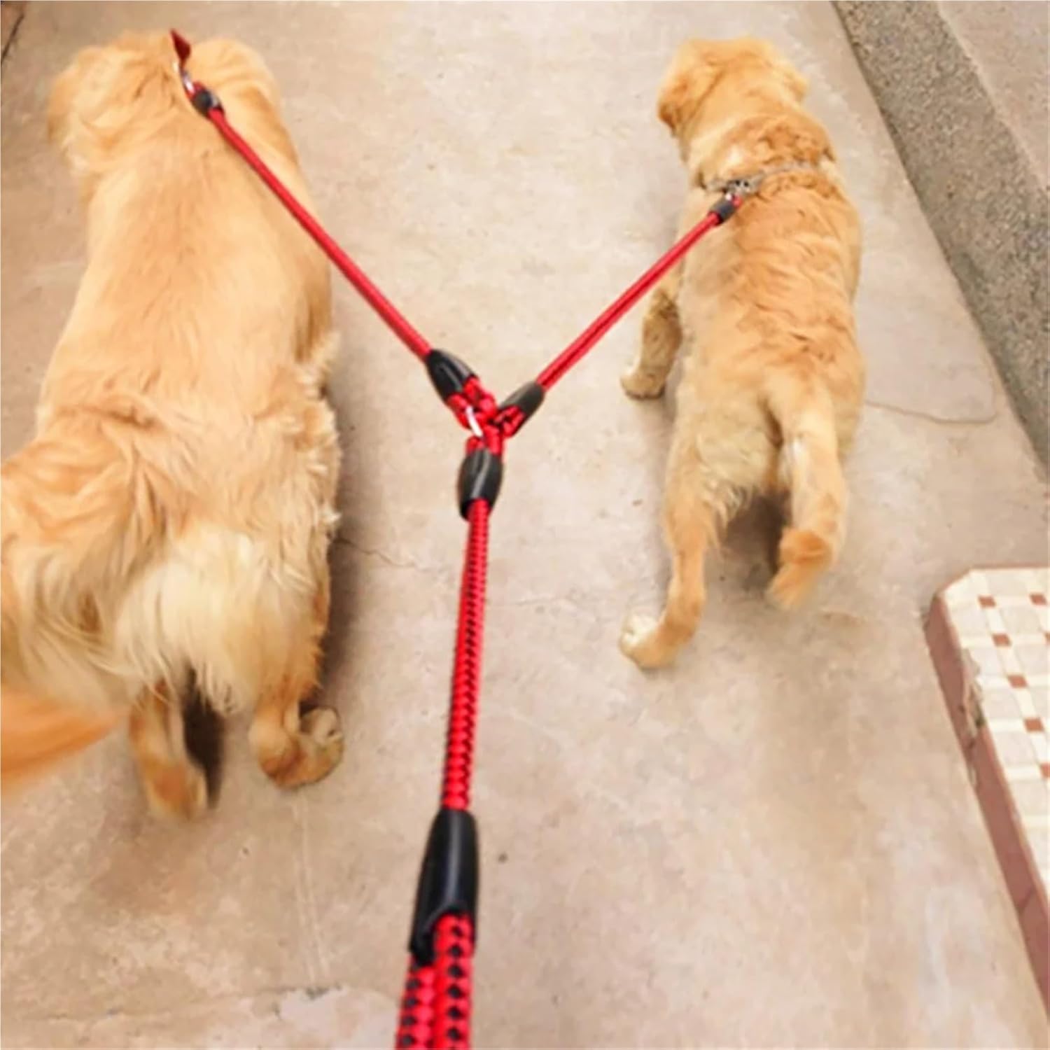 Red and Black Double Dog Leash and Collar Set - 1.4m Long - Durable Pet Lead for Dogs