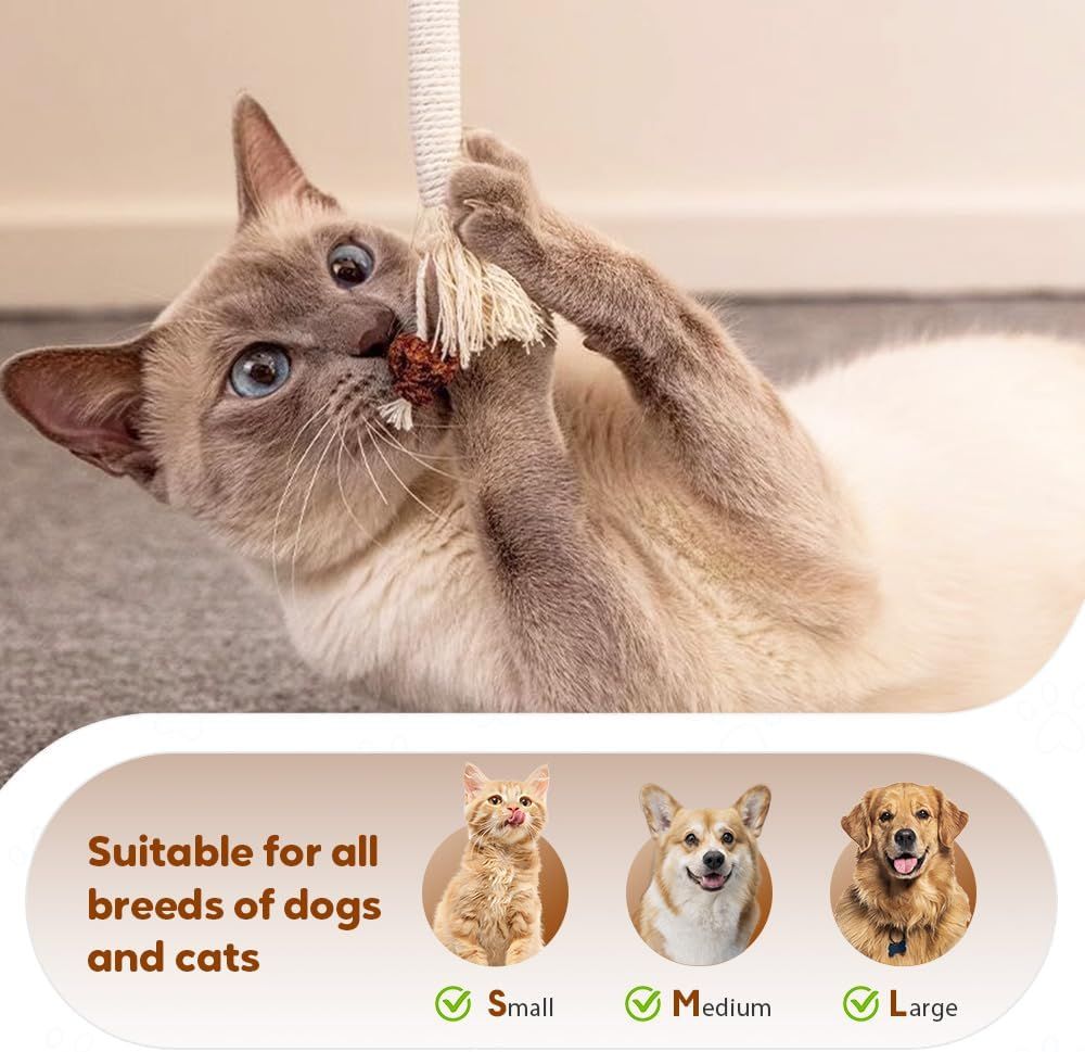 Cat Chew Rope Toy with Catnip – Interactive Dental Cleaning & Enrichment Toy for Indoor Cats & Kittens, 23.6in, Purple