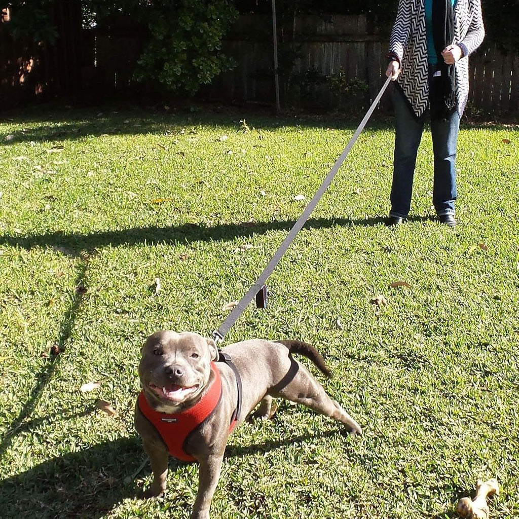 Reflective Dog Leash with Dual Handles - Anti-Shock Nylon Pet Lead for Large Medium Dogs - No-Pull Training Leash - Royal Blue 1.5m