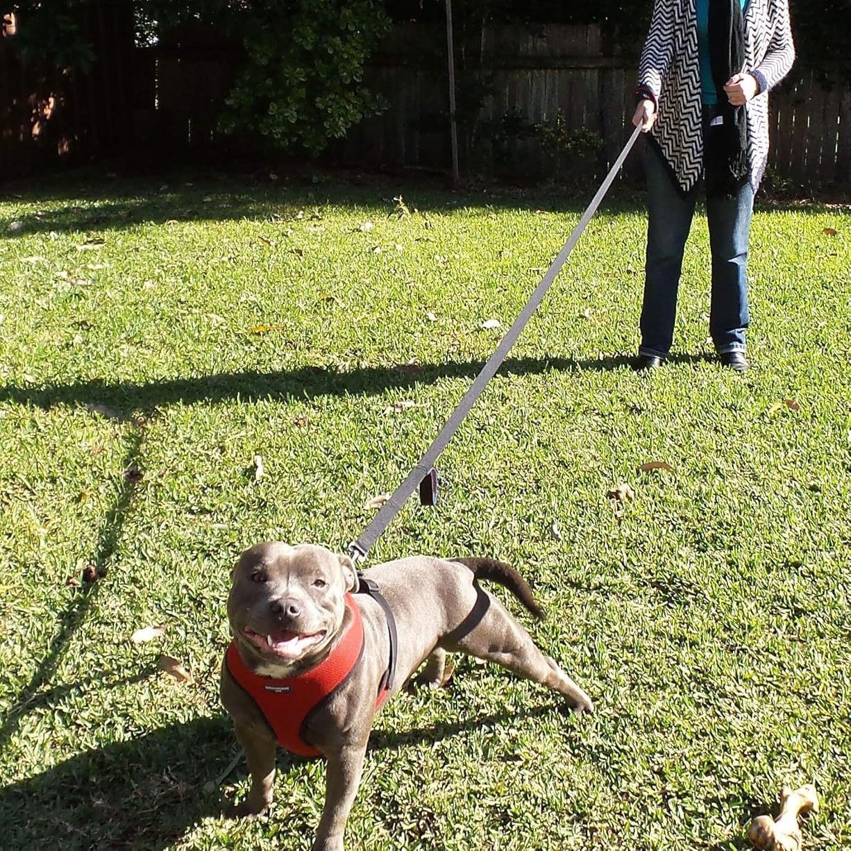 Reflective Dog Leash with Dual Handles - Anti-Shock Nylon Pet Lead for Large Medium Dogs - No-Pull Training Leash - Royal Blue 1.5m