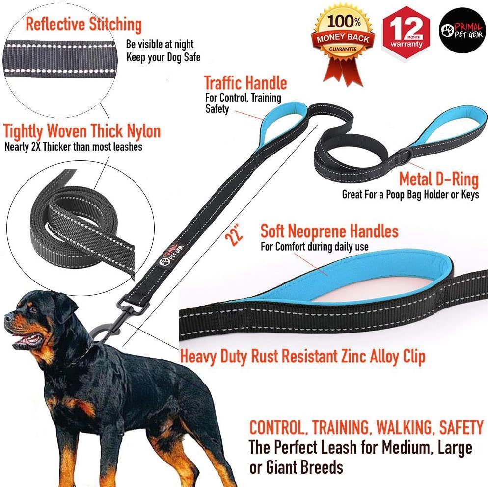 Reflective Dog Leash with Dual Handles - Anti-Shock Nylon Pet Lead for Large Medium Dogs - No-Pull Training Leash - Orange 1.8m