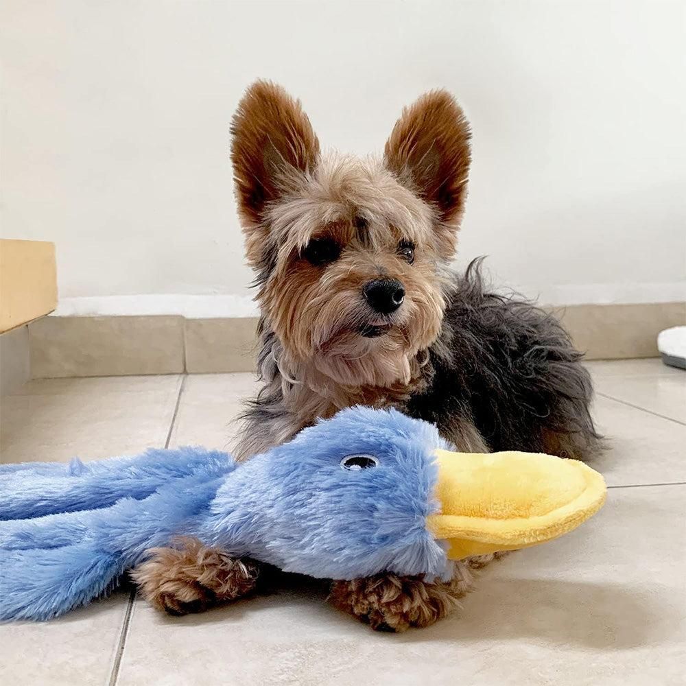 Interactive Plush Duck Dog Toy - Chew Toy for Small Dogs Blue