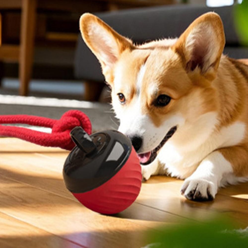 Squeaky Rolling Ball Dog Toy - Interactive Motion-Activated Chew Toy for Dogs Red
