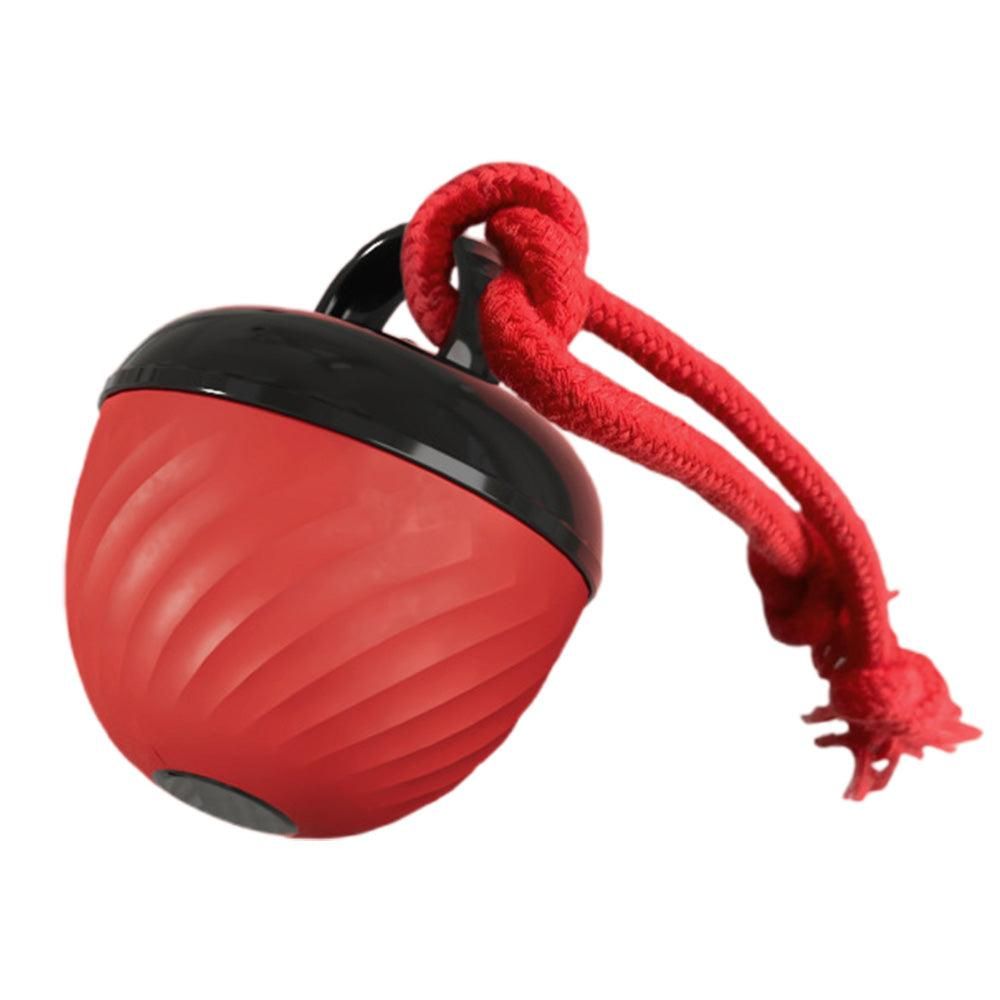 Squeaky Rolling Ball Dog Toy - Interactive Motion-Activated Chew Toy for Dogs Red