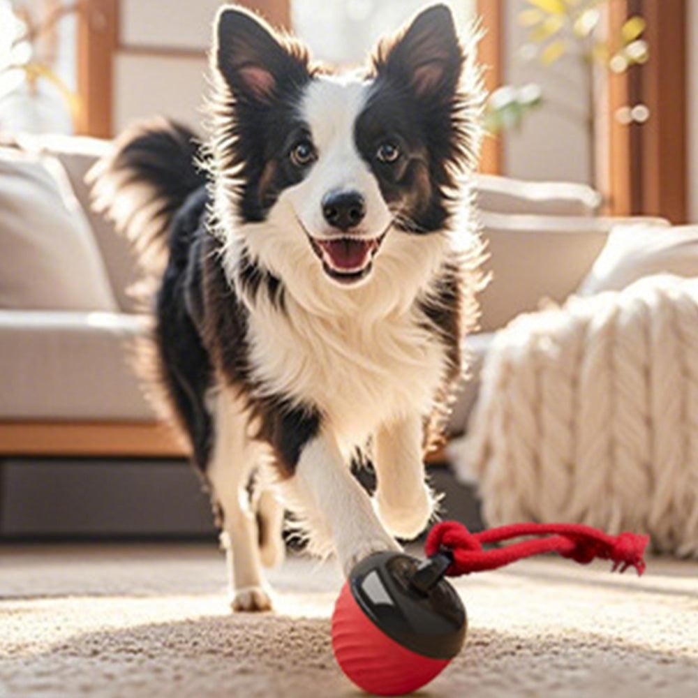 Squeaky Rolling Ball Dog Toy - Interactive Motion-Activated Chew Toy for Dogs Red