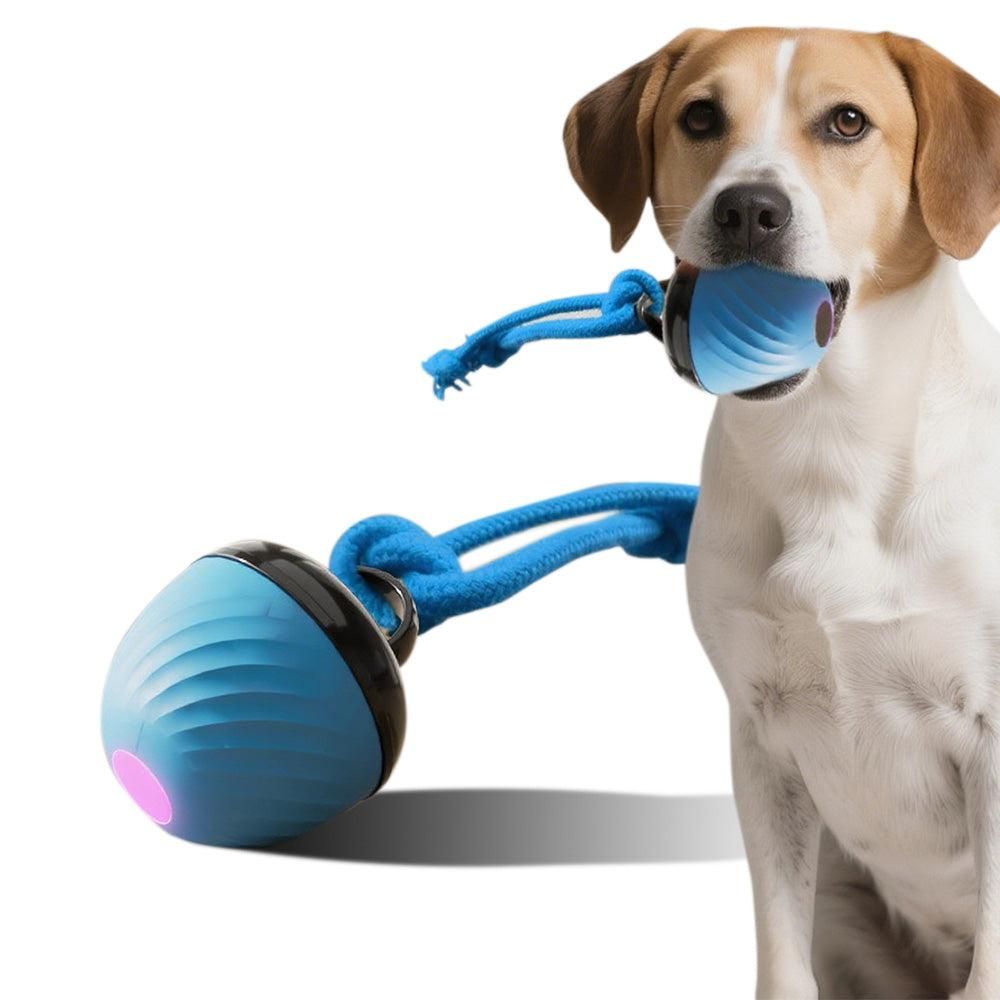 Squeaky Rolling Ball Dog Toy - Interactive Motion-Activated Chew Toy for Dogs Red