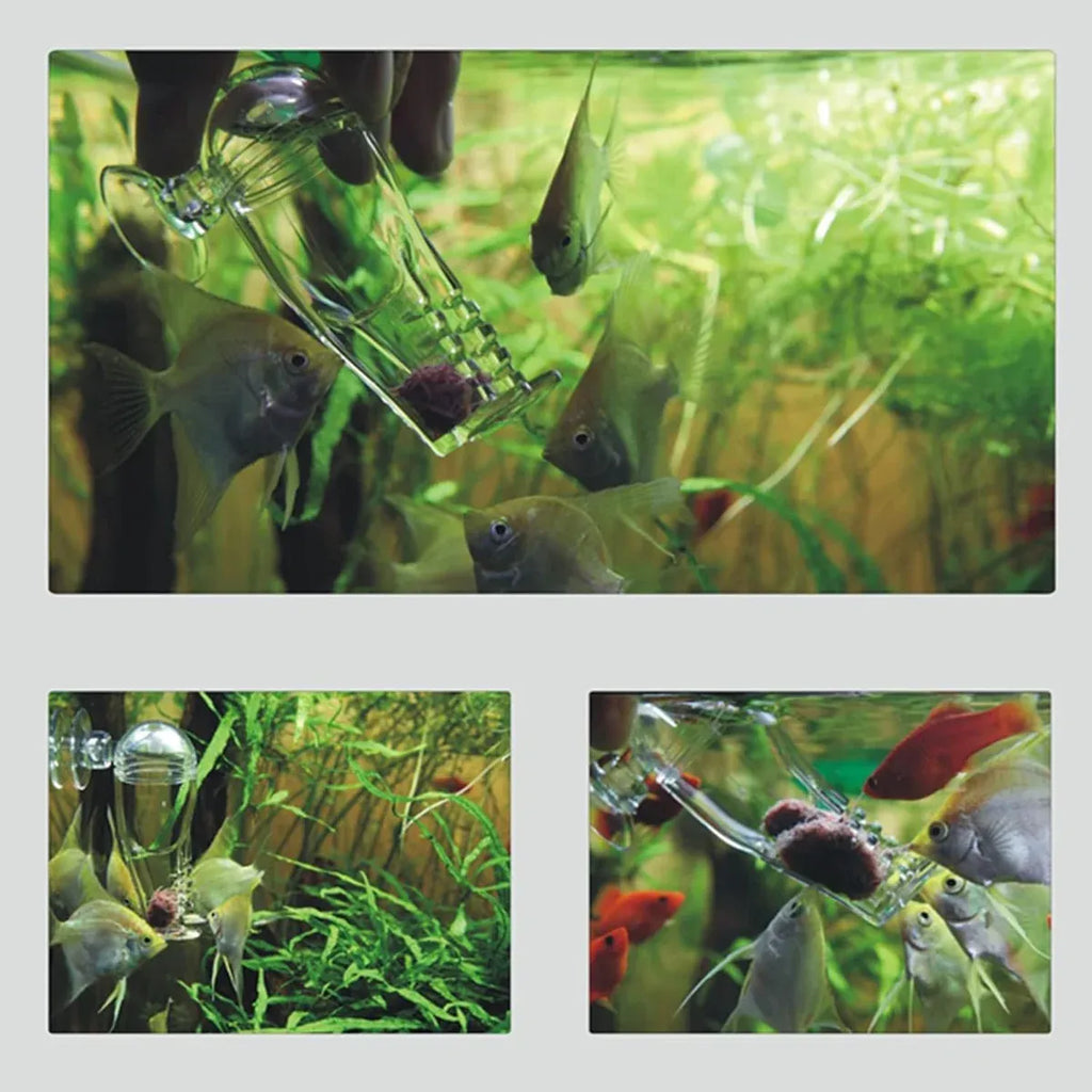 Acrylic Fish Feeder Clear Durable for Aquarium Fish Tank Feeding
