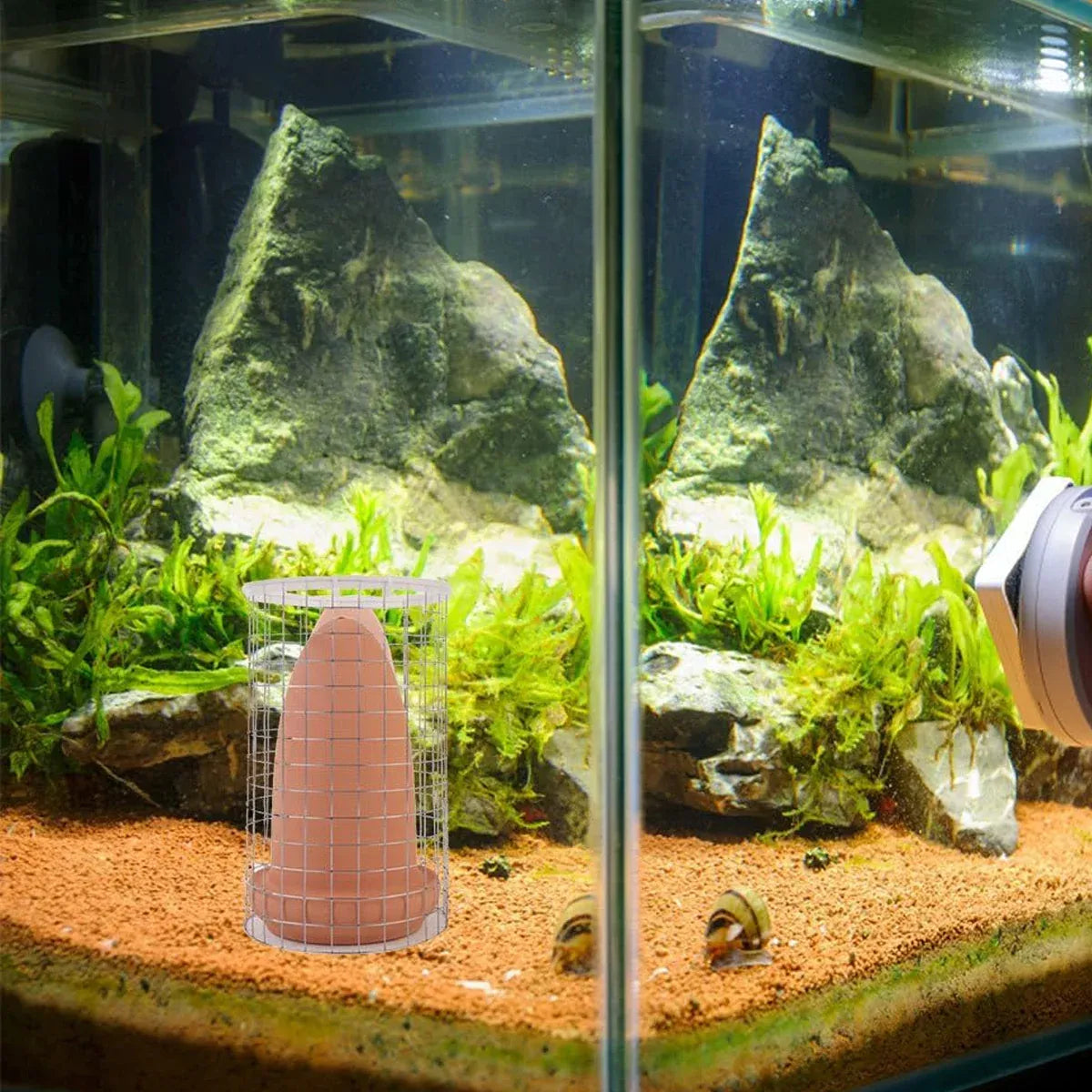 Fish Spawning Breeding Bucket Aquarium Fish Reproduction Container Durable