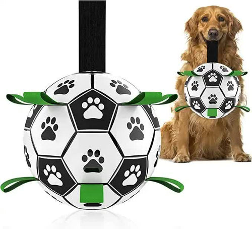 Pet Kingdom Shop