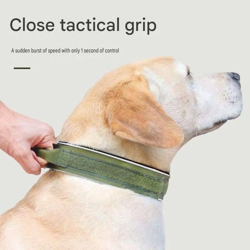 Blue Tactical Dog Collar – Padded Nylon, Quick Release Metal Buckle, Control Handle & D-Ring – M
