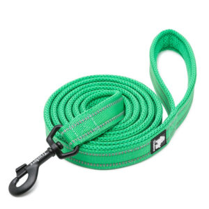 True Love Reflective Pet Leash 2m - Green, L