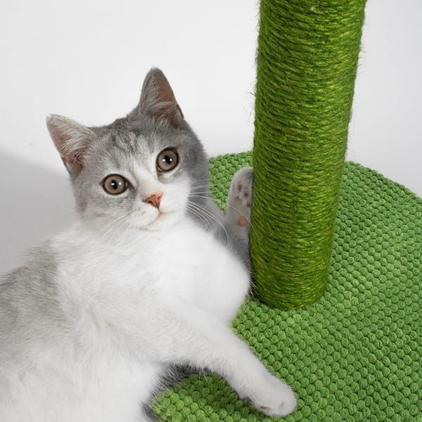 Green Black Cat Scratching Post Cactus Cat Toy Cat Furniture Cat Scratcher Cat Claw Care - Image 3