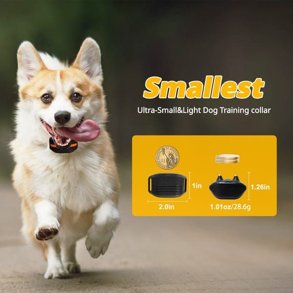 Black Dog Training Remote Control Collar - Image 2