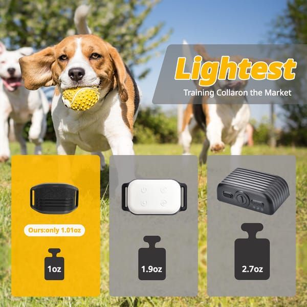 Black Dog Training Remote Control Collar - Image 3