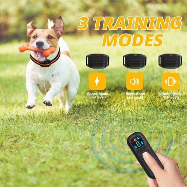 Black Dog Training Remote Control Collar - Image 4