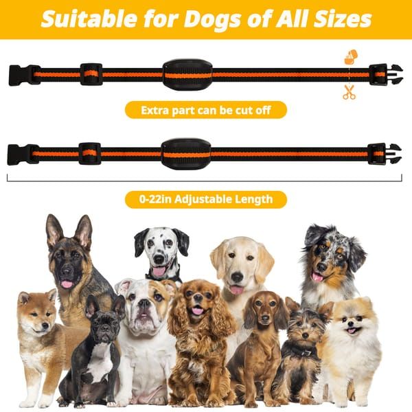 Black Dog Training Remote Control Collar - Image 5
