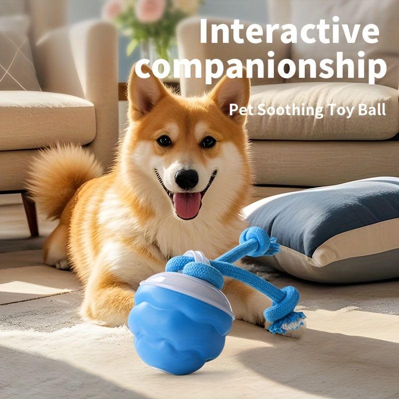 Blue Dog Toy Interactive Dog Toy Dog Ball Toy Dog Toy With Rope Pet Toy Dog Play Toy - Image 6
