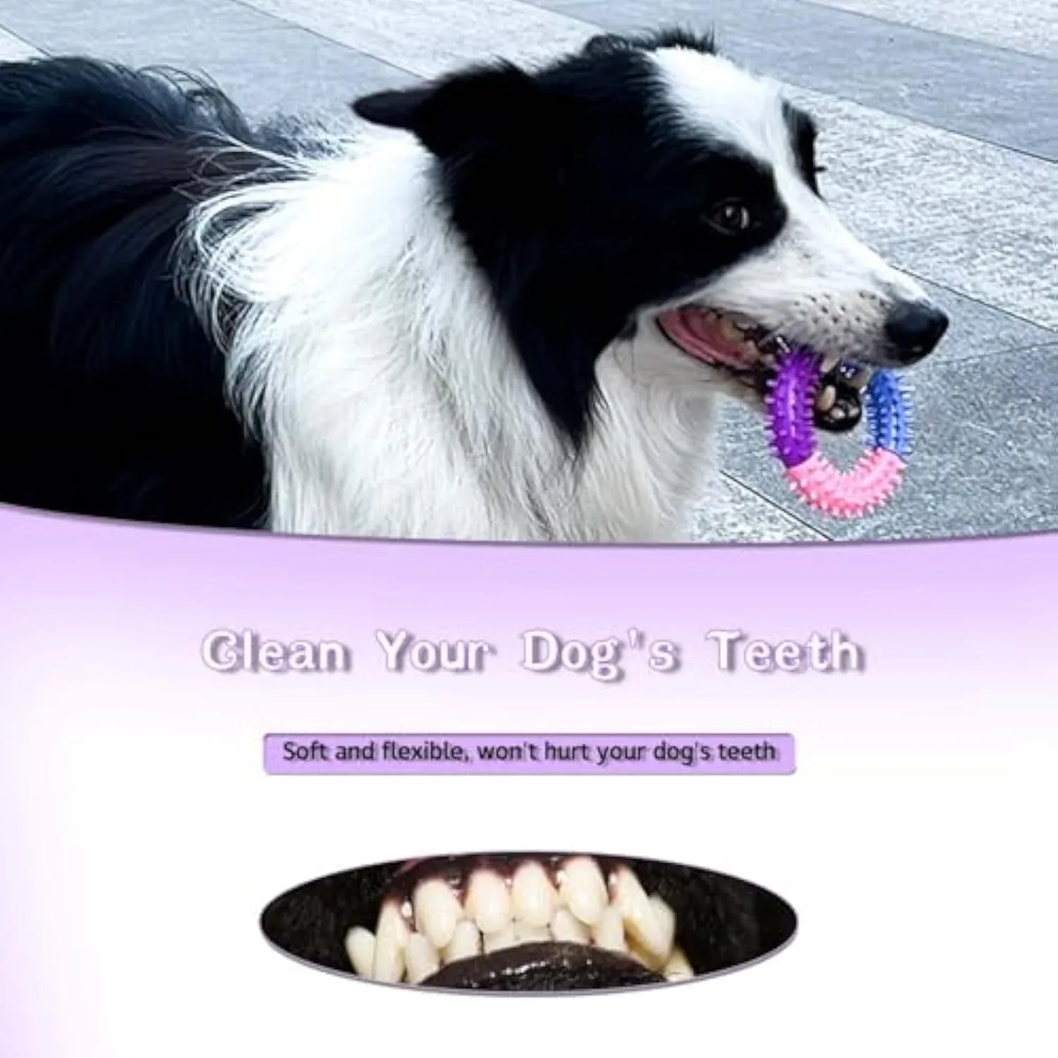 Dog Chew Ring Toy Rubber Puppy Teething Toy, Blue Pink Purple - Image 5