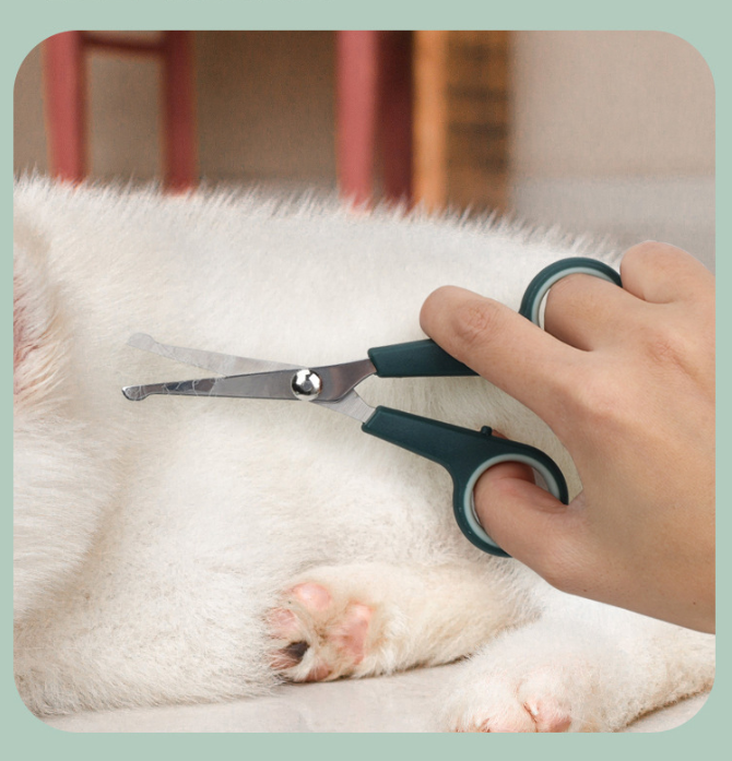 8-in-1 Pet Grooming Kit, Portable Dog Cat Grooming Supplies, Storage Bag for Daily Care - Image 4