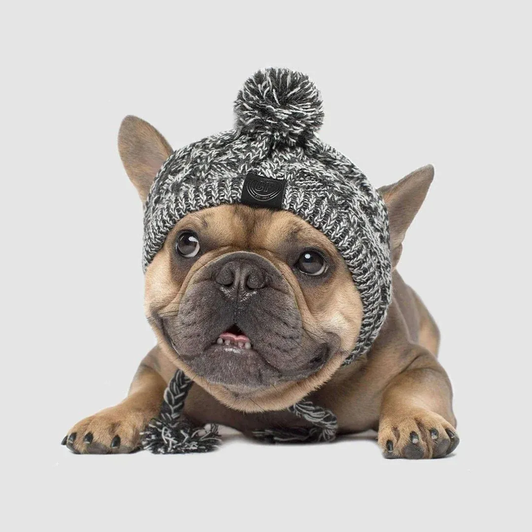 Dog Hat Knitted Windproof Winter Pom Hat, Black, L - Image 5