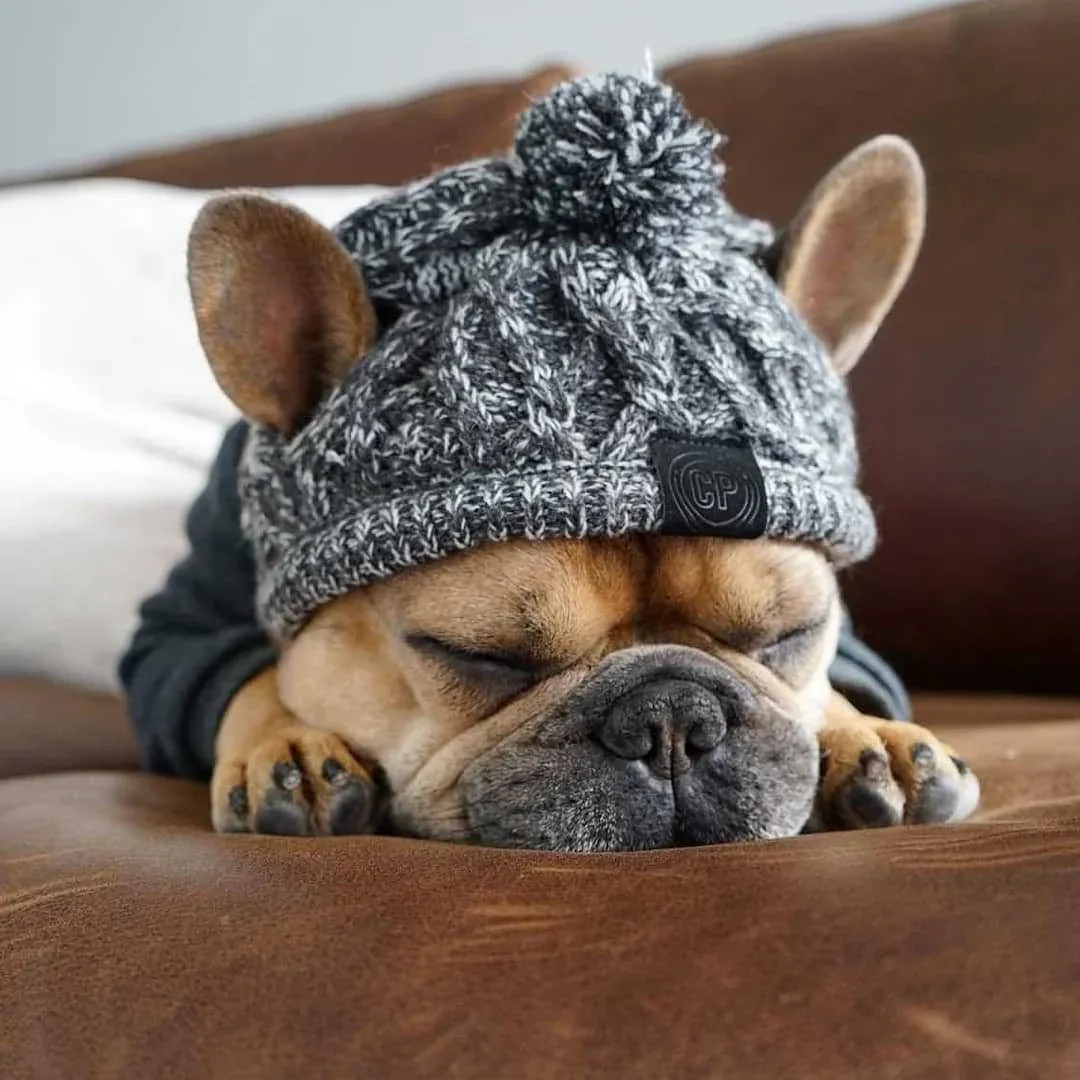 Dog Hat Knitted Windproof Winter Pom Hat, Black, S - Image 3