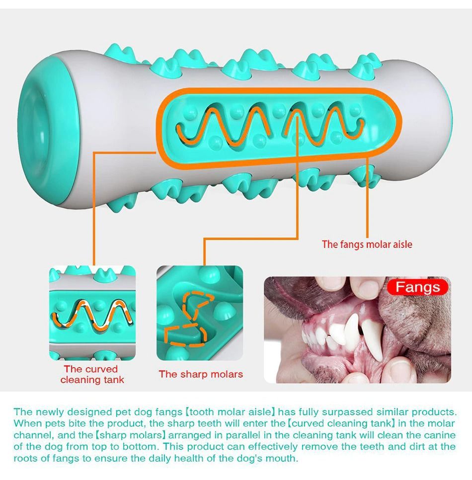 Tough Dog Chew Toy for Aggressive Chewers, Rubber Squeaky Toothbrush Toy, Green - Image 3