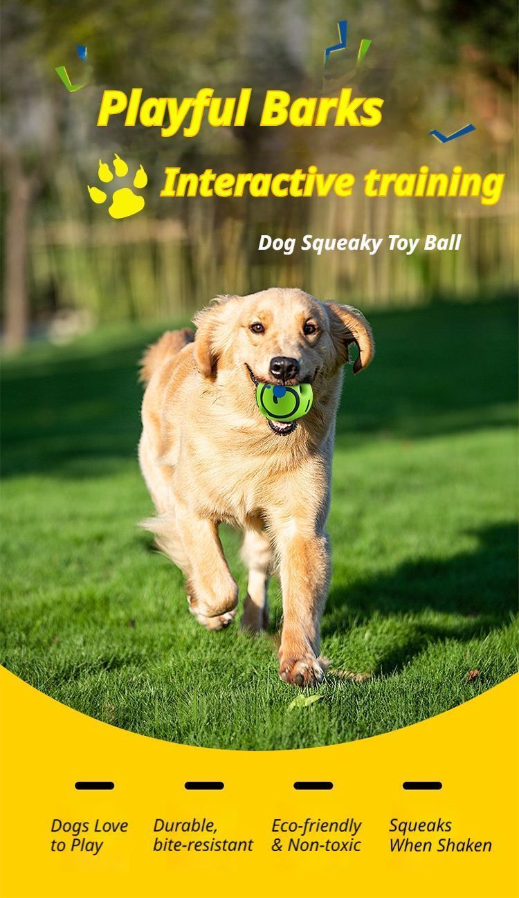 10cm Dog Squeaky Ball Color Box - Image 2