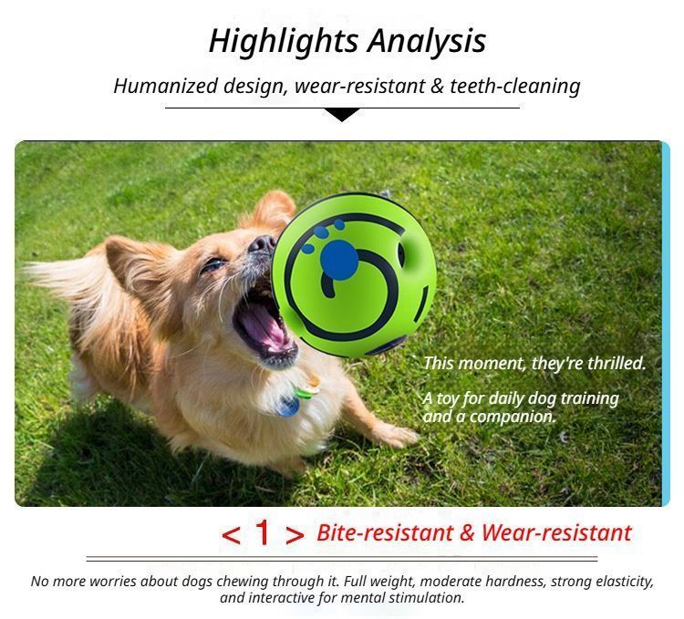 14cm Dog Squeaky Ball Color Box - Image 5