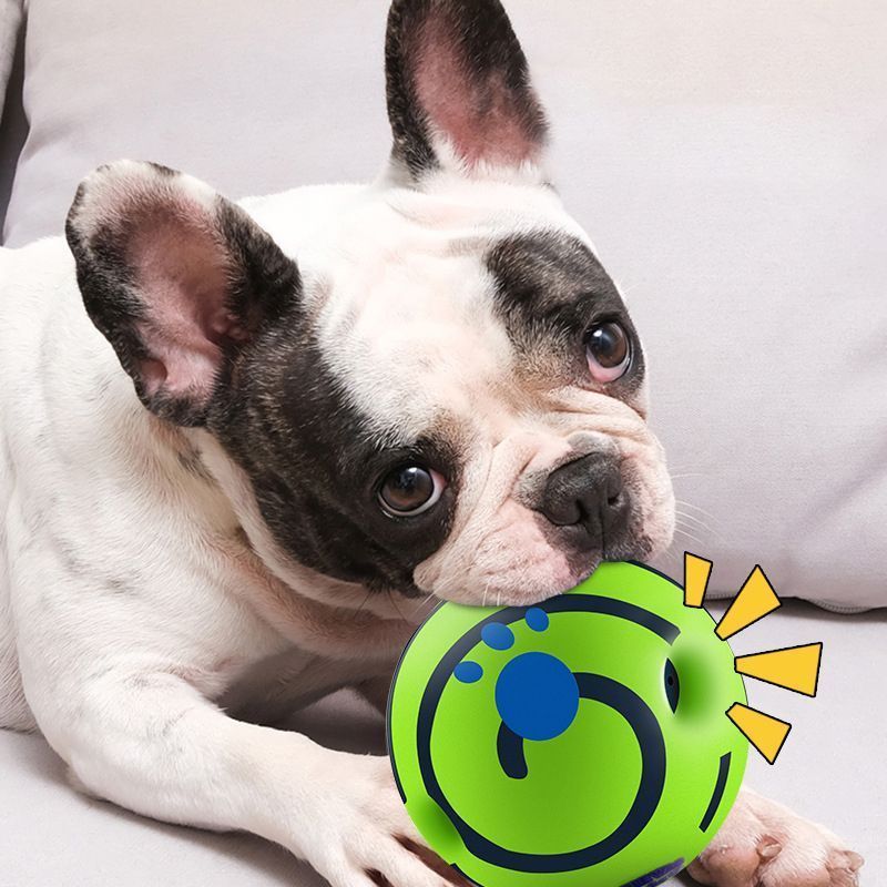 14cm Dog Squeaky Ball Color Box - Image 9