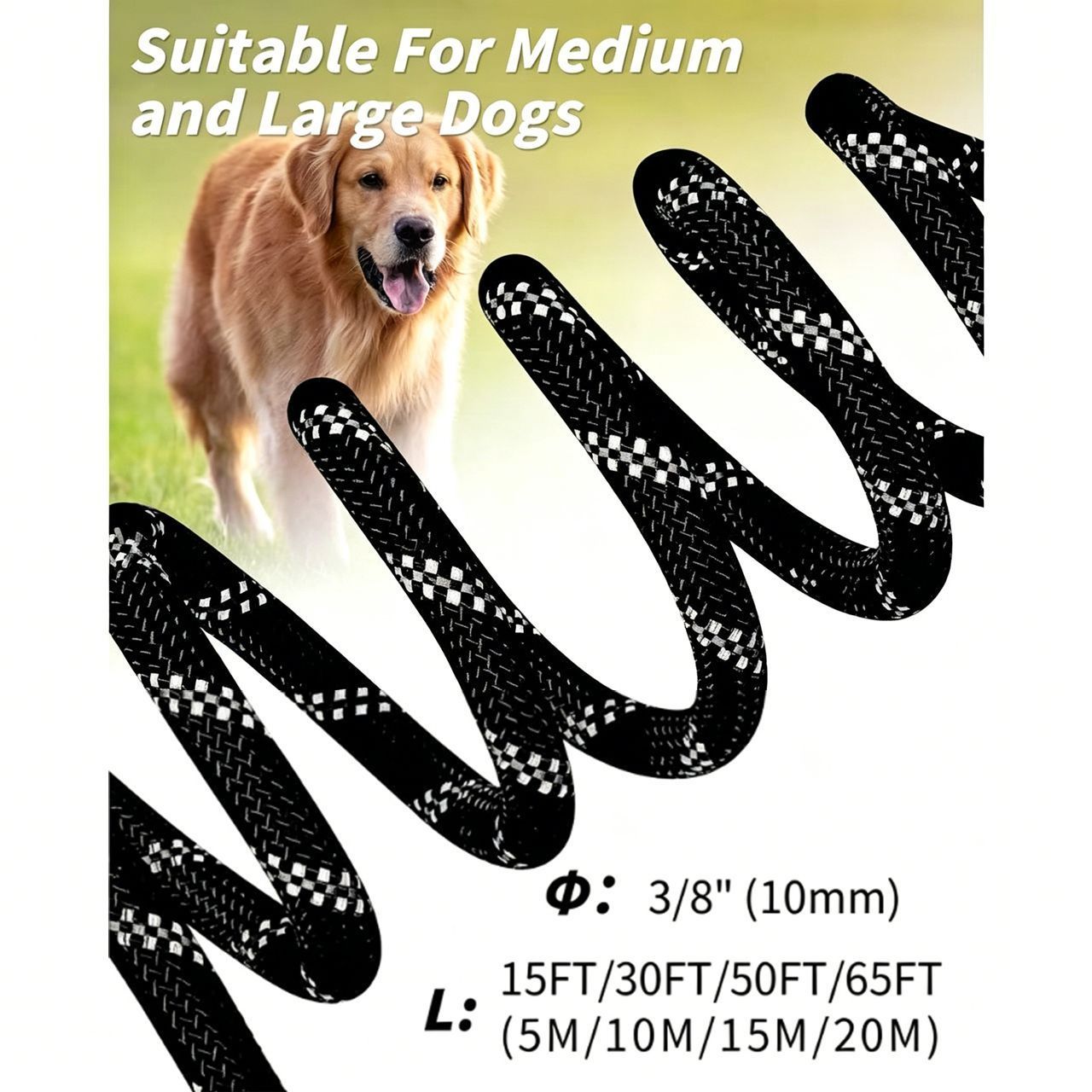 Large Dog Leash Sky Blue - Image 2