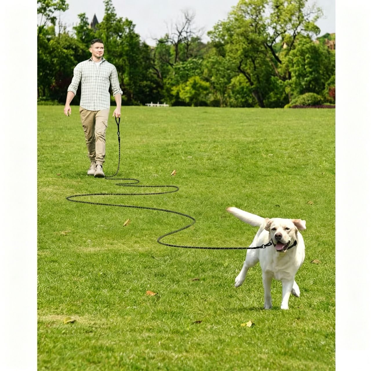 Large Dog Leash Sky Blue - Image 5