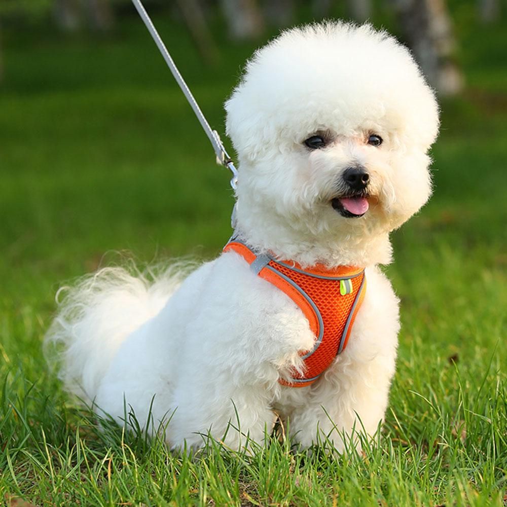 Pet Cat Harness and Leash Set Breathable Vest with Reflective Strip for Kitten Walking Traveling Orange - S - Image 3