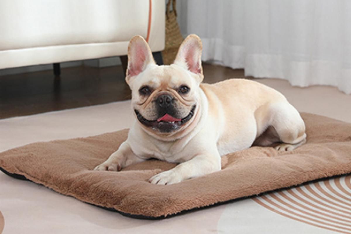 2Pcs Pet Blanket Self-Heating Bed Pad Cat Dog Self-Warming Cushion-Khaki S - Image 3