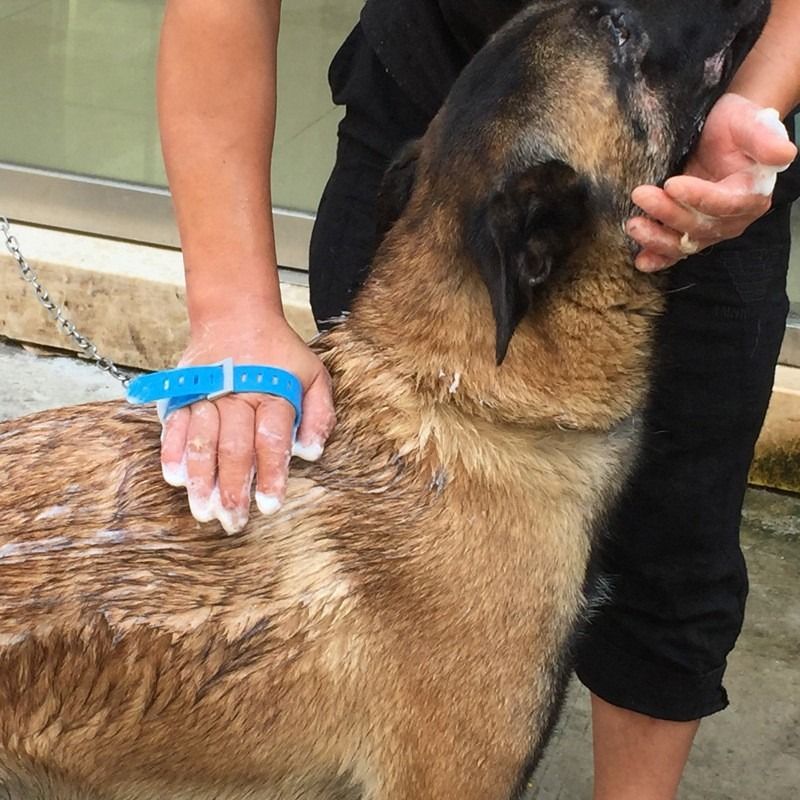 Multi-Functional Pet Shower Brush with Hose, Silicone Massage Sprayer for Dog Cat Bath Cleaning - Image 5